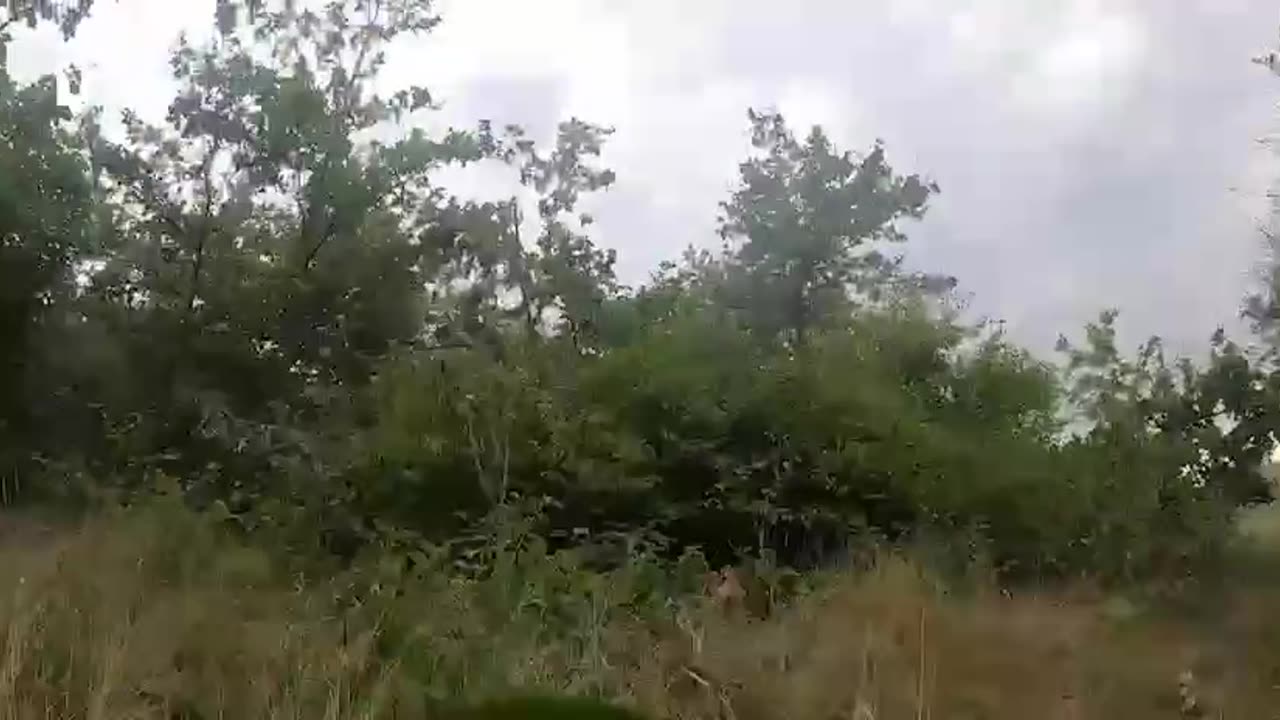 Intense Combat Footage from Ukrainian SSO in Zaporizhzhia