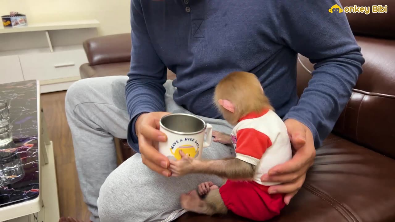 So funny bibi wet his pants! Bibi ran away to play while dad was taking bath