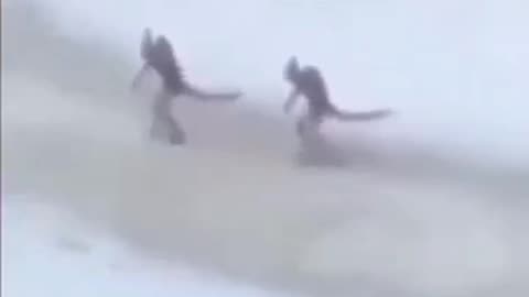 OH MY THOSE ARE REPTILIANS!