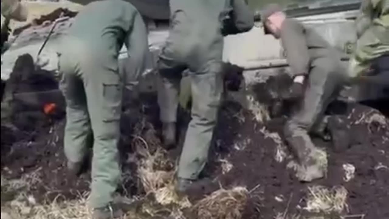 German tanks stuck in the mud, Ukraine