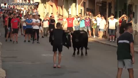 The crazy old bull started the bullfight directly in the street