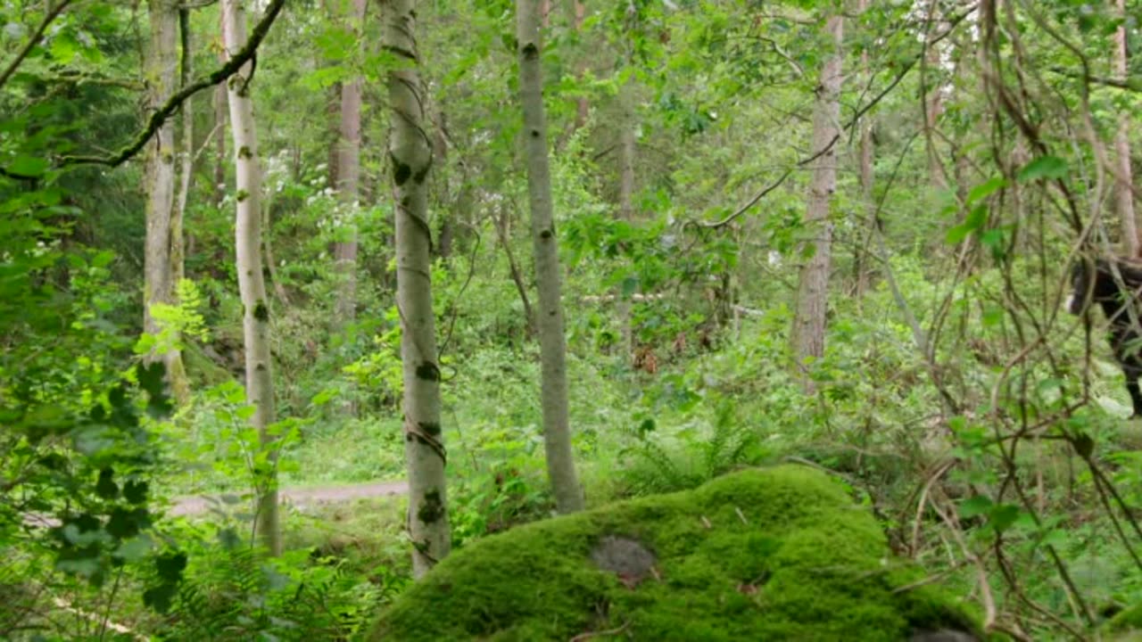 Farmen - Norge S13E04