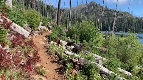 Central Oregon - Mount Jefferson Wilderness - Glistening Sapphire Sparkles