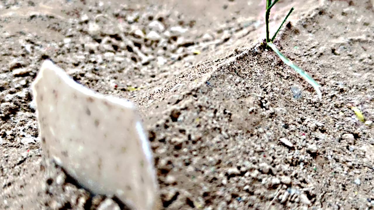 Respected Child See This Video