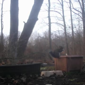 EA S67 - After A Nut