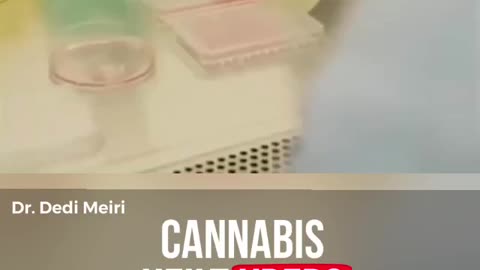 Cannabis heilt Krebs.