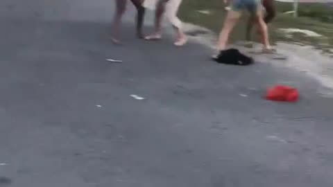 Best Street Fight Compilation 2024 #124