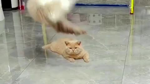Watch The Video until the end