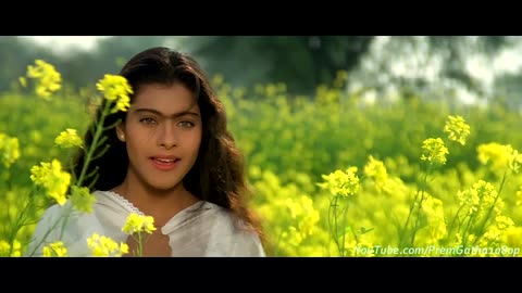 Tujhe Dekha To Yeh Jana Sanam