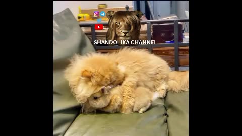 دو دوست ❤️
