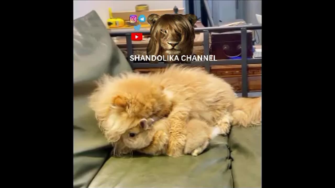 دو دوست ❤️