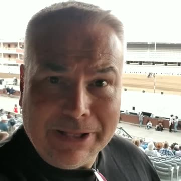 Why You Should Stay The Hell Away From The Calgary Stampede