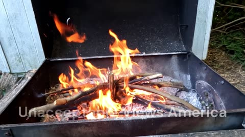 Bad Company - SHOOTING STAR