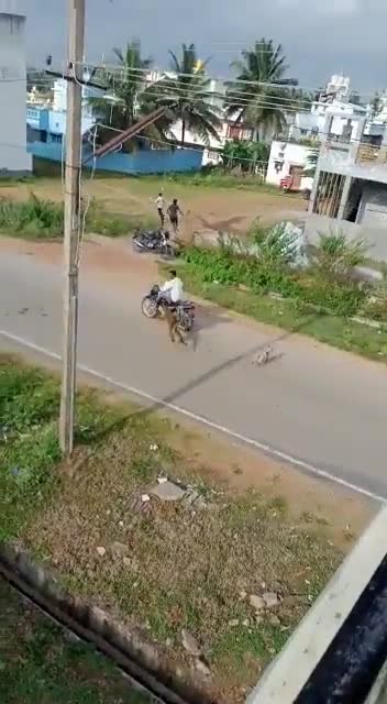 ΤΟΥΣ ΠΗΓΕ ΤΙΓΡΗΣ