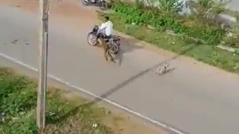 ΤΟΥΣ ΠΗΓΕ ΤΙΓΡΗΣ