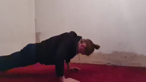 60 more pushups