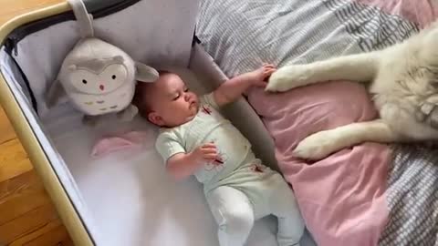 Husky Helps Sad Baby Smile!!..😭