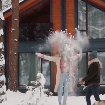 Los perros, nuestros compañeros incondicionales