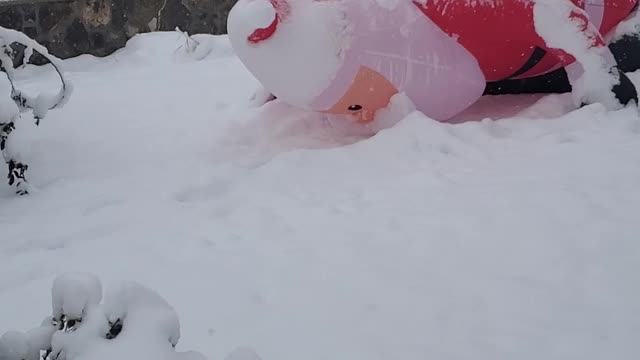 Santa Claus didn't make it