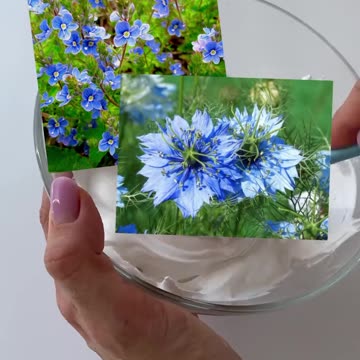 💦Как создать природный голубой цвет в зефирных цветах💧