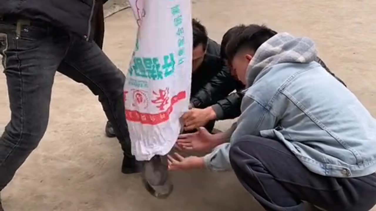 FUNNIEST VIDEOS