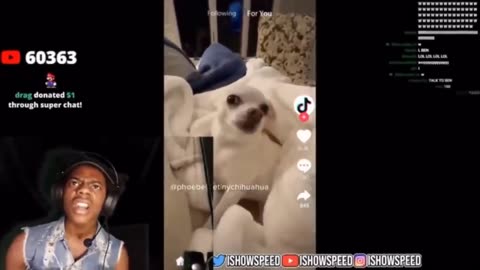 speed funny moments 2023