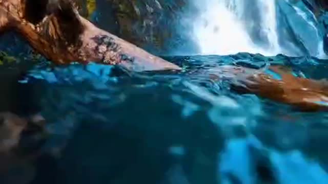 Hd Underwater World