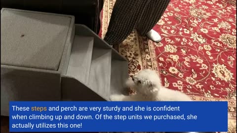 PetFusion Multi-Purpose Pet Stairs Foldaway Cat &-Overview