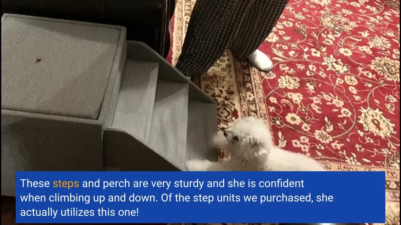 PetFusion Multi-Purpose Pet Stairs Foldaway Cat &-Overview