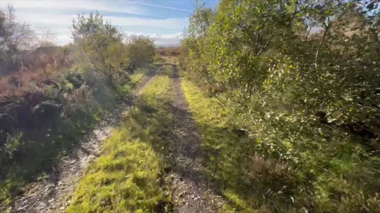 Henshaw Hill - Sergeant Law - Garval Syke Knoll - Black Birn - Shields Rig loop & Walston Braehead