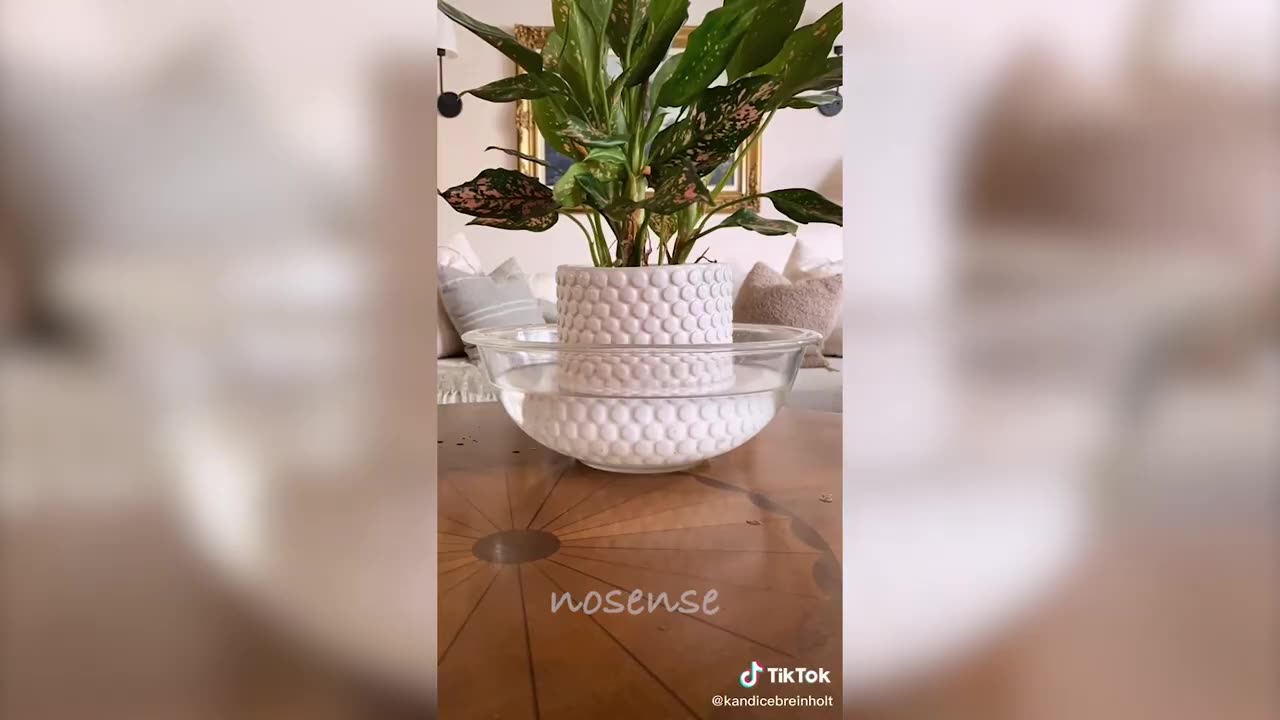 SATISFYING VIDEO TO RELAX, CALM & PUT THE BRAIN TO SLEEP 🧠😴