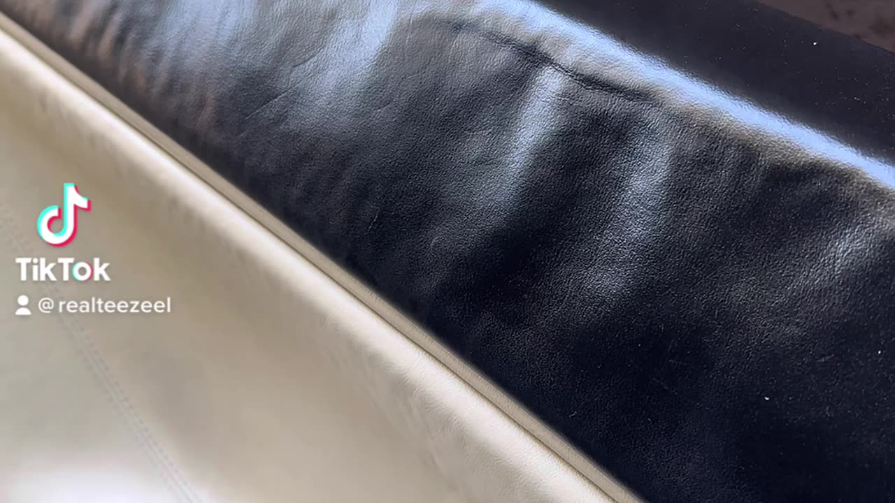 Lamborghini Cold Start😕