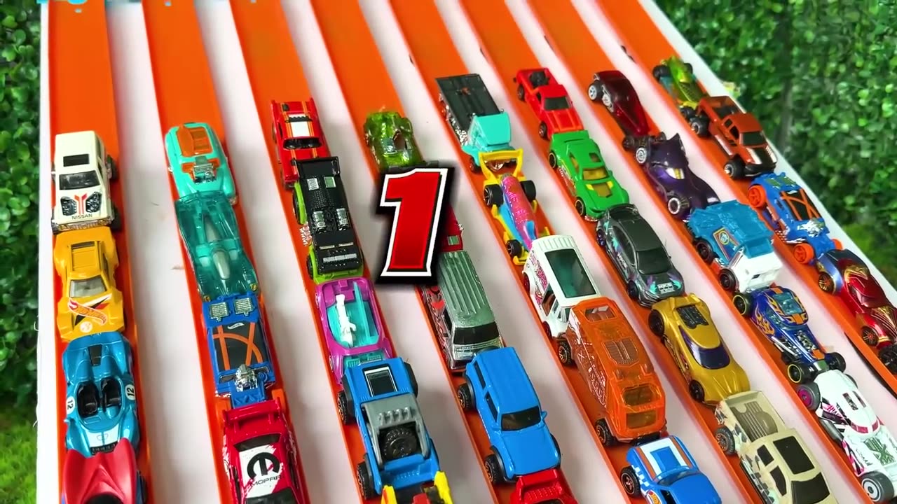 Funney animals video
