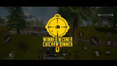 Chicken dinner