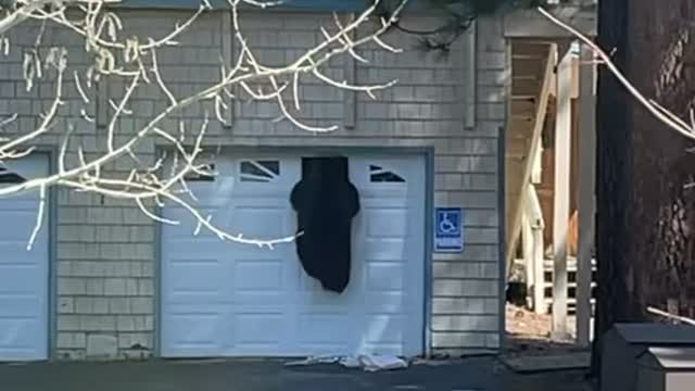 Bear Climbs Into Garage of Lake Tahoe Home