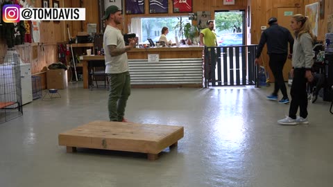 How to traning any dogs