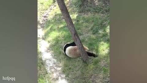 THIS will make you LAUGH ALL DAY