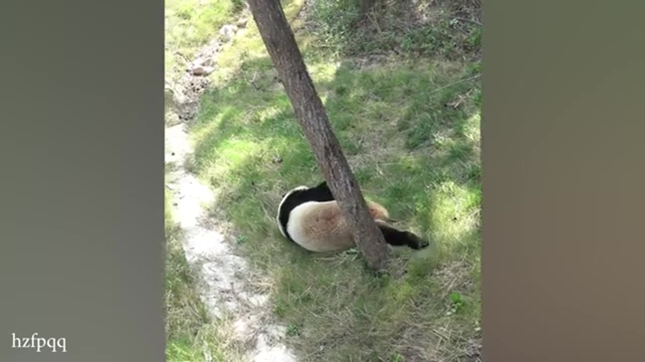 THIS will make you LAUGH ALL DAY