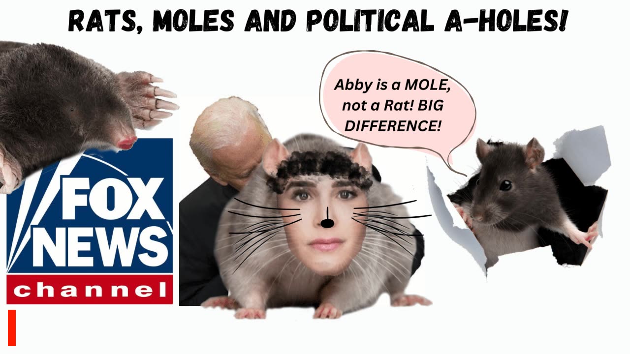 TUCKER & FOX - Rats. Moles and Political A-Holes!