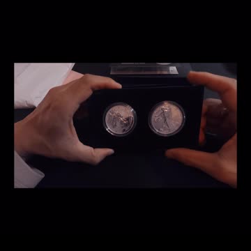 2021 American Silver Eagle Reverse Proofs - trailer #shorts #youtubeshorts #gold #money #unboxing