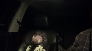 what about it with walter