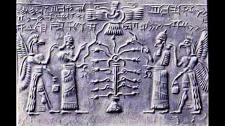 Sherri Ann Wisdom with Sean Bond : Psionic Awakening , Healing , Anunnaki,