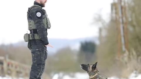 Wow😱most talented and intelligent army dog