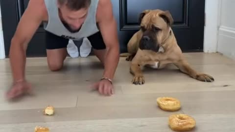 Train your puppy | dog training