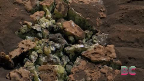 NASA’s Curiosity Rover Uncovers Mars’ Mysterious Spiderweb Rocks and Hidden Crystals