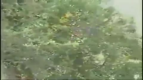 Alex Jones Reports on Bohemin Grove