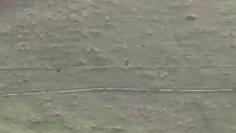Car tire rolling from above the hill*SATISFYING*