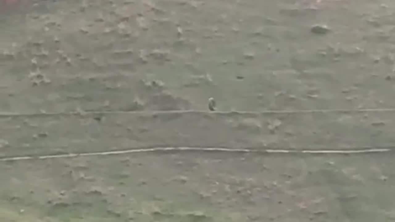 Car tire rolling from above the hill*SATISFYING*