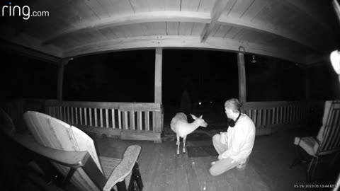 Deer 🦌 NW NC at The Treehouse 🌳 Hattie is pregnant again and exhausted #ringtv