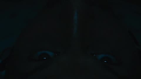 Horror sense RD -Watch till end